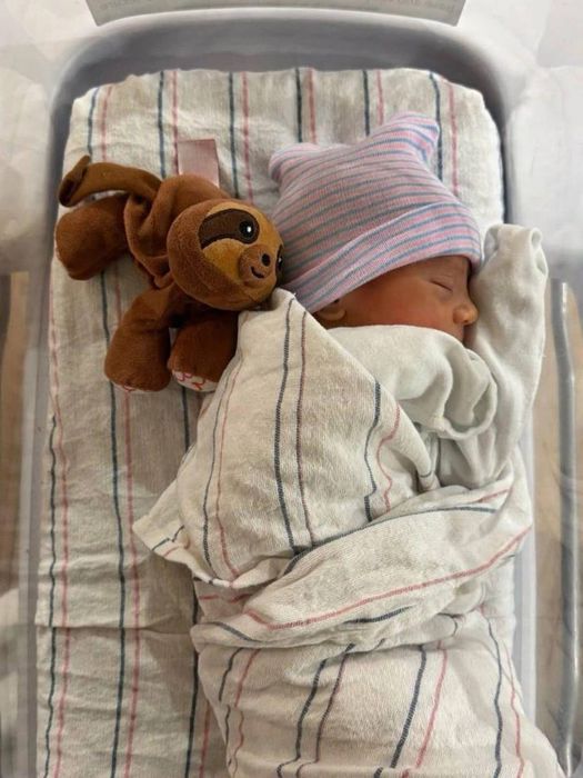 Фото: соцсети