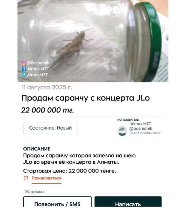 В Казахстане выставили на продажу саранчу, которая была на груди Джей Ло. Фото: t.me/starhitru