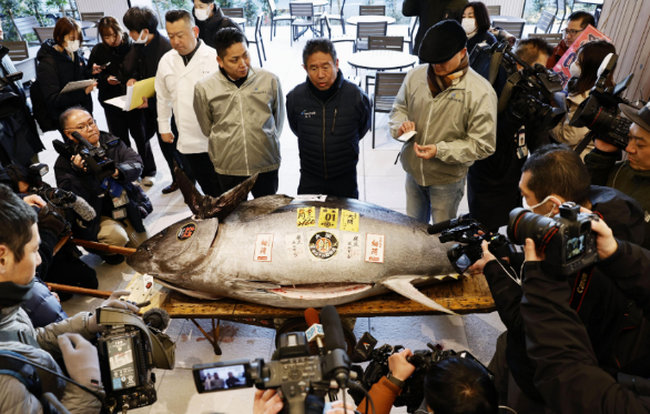 В Японии на  аукционе тунца весом 276 кг продали за 1,3 млн долларов. Фото: Kyodo News. Фото: 