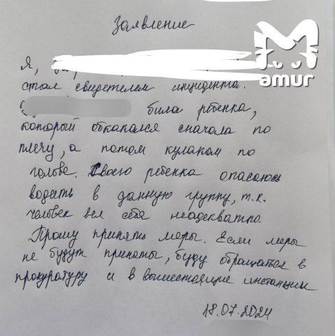 Заявление свидетельница тут же отнесла в полицию, испугавшись, что и с ее малышом могут поступить так же.  Фото: @t.me/amur_mash