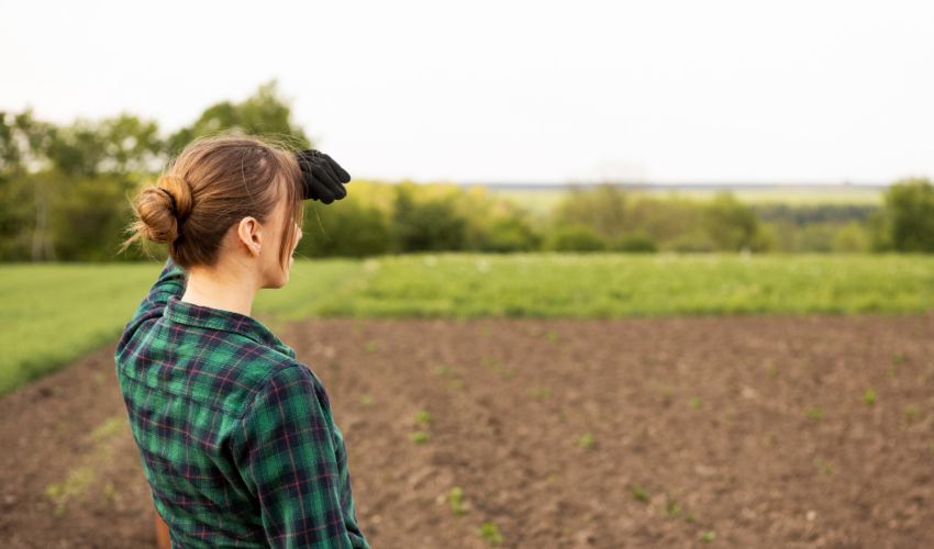 В сентябре основное внимание смещается на озимые и подзимние посевы. Фото: freepik.com