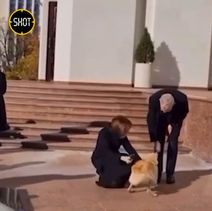 Майя Санду зачем-то привела на встречу с коллегой из Австрии свою собаку. Фото: @t.me/shot_shot
