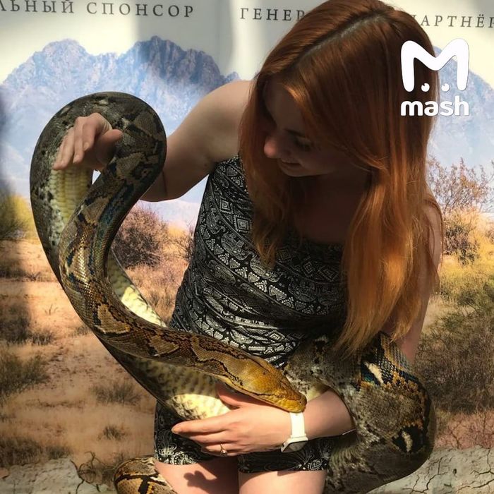 Любительница экзотики. Фото: @breakingmash