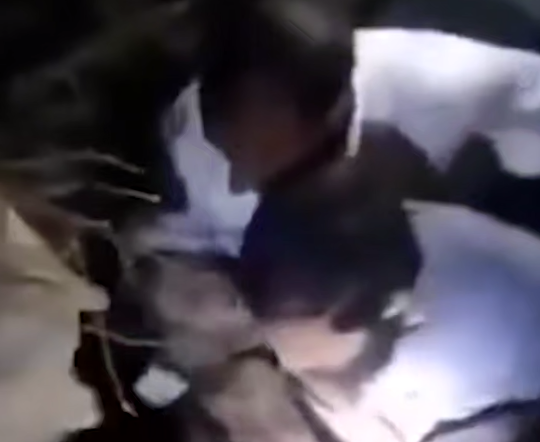 В Афганистане из-за землетрясения более 700 человек погибли и 1500 пострадали. Фото: t.me/shot_shot