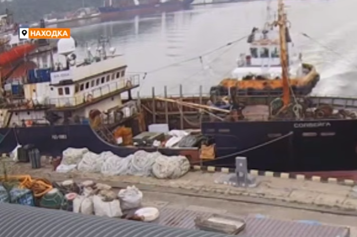 В порту Находки буксир на полном ходу протаранил корабль. Фото: t.me/amur_mash