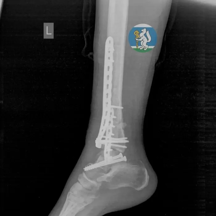 Фото: соцсети