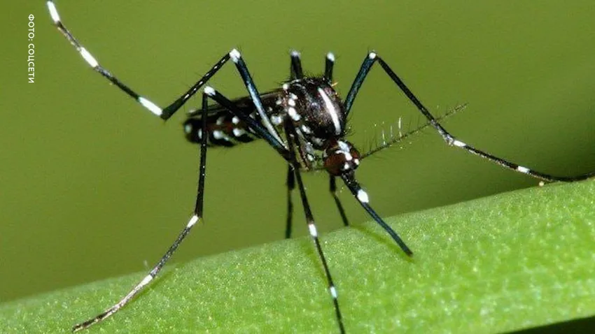 Фото: t.me/shot_shot