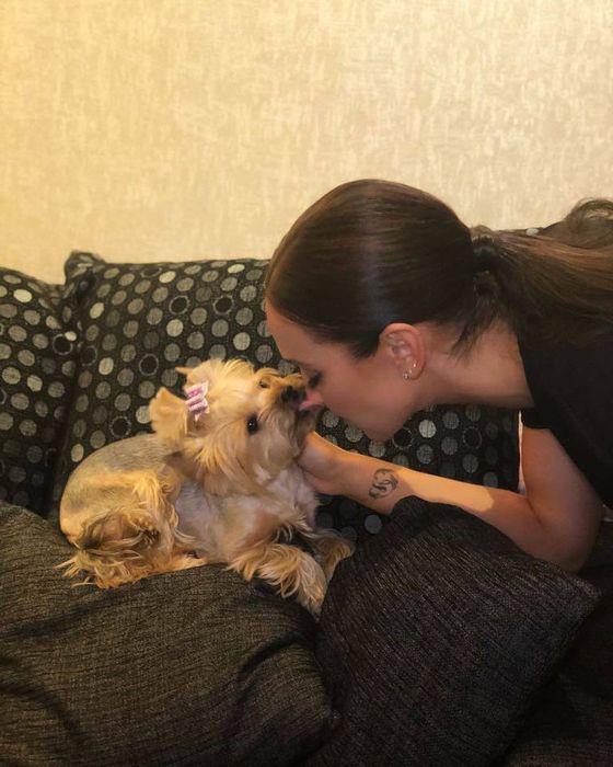 Фото: t.me/byzovahouse