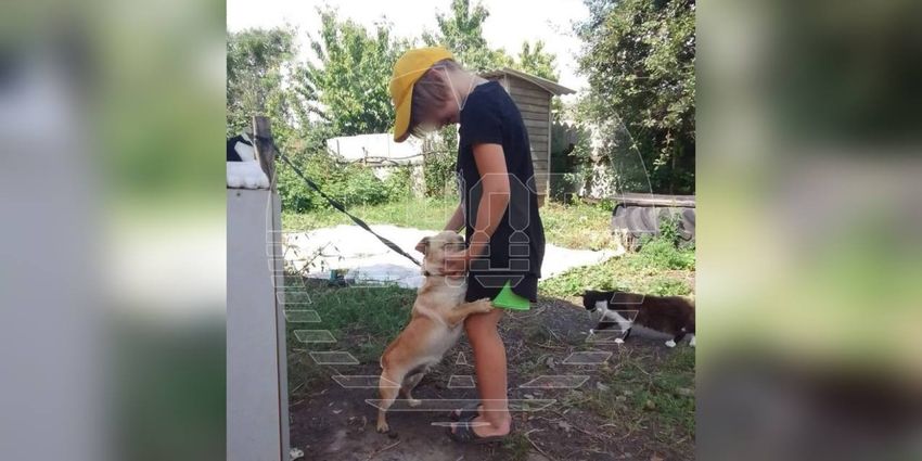 Фото: @t.me/shot_shot