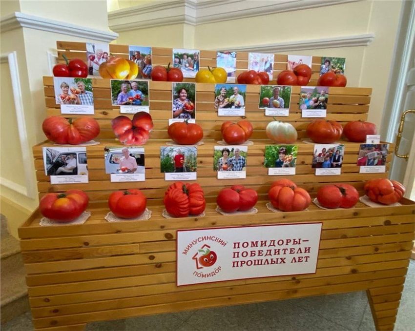 В конкурсе участвовали 40 огродников. Фото: krskstate.ru