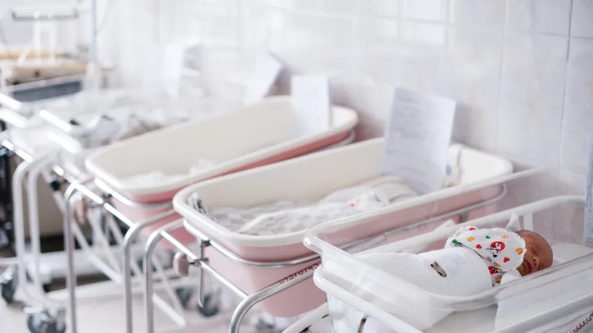 «Настиксы» и «никитиксы»: имена Насти и Никиты стали самыми нелюбимыми у россиян. Фото: соцсети