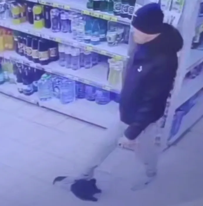 В Питере мужчина специально со всей силы наступил на кота, живущего в магазине. Фото: t.me/mashmoyka