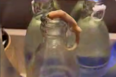 В Тае россиянка чуть не проглотила ящерицу, которая застряла в бутылке с водой. Фото: t.me/mash_iptash