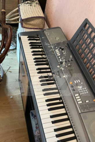 Синтезатор голубям приглянулся больше всего. ФОТО: t.me/bazabazon