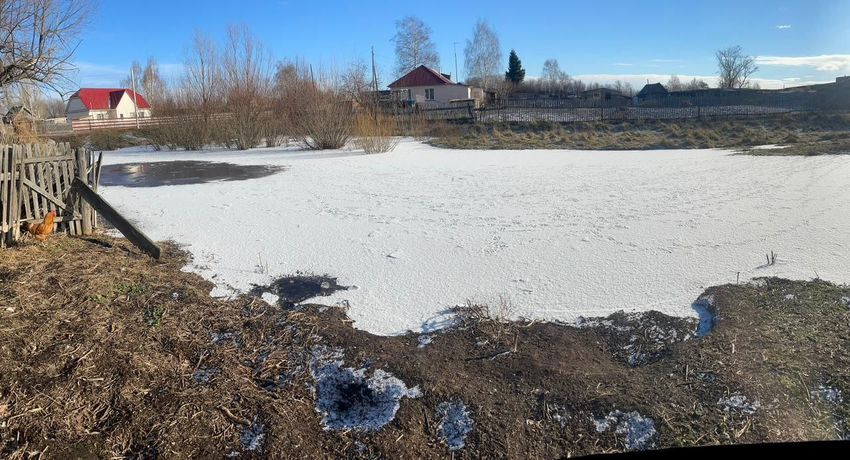 В Алтайском крае 2-летняя девочка утонула в луже, когда гуляла без присмотра. Фото: t.me/mash_siberia
