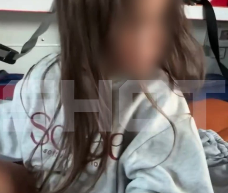 На Алтае шестилетняя девочка попала в реанимацию после укуса гадюки. Фото: t.me/shot_shot