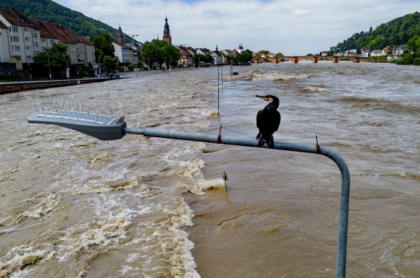 Город затоплен, вода пока не спешит уходить. Фото: apnews.com