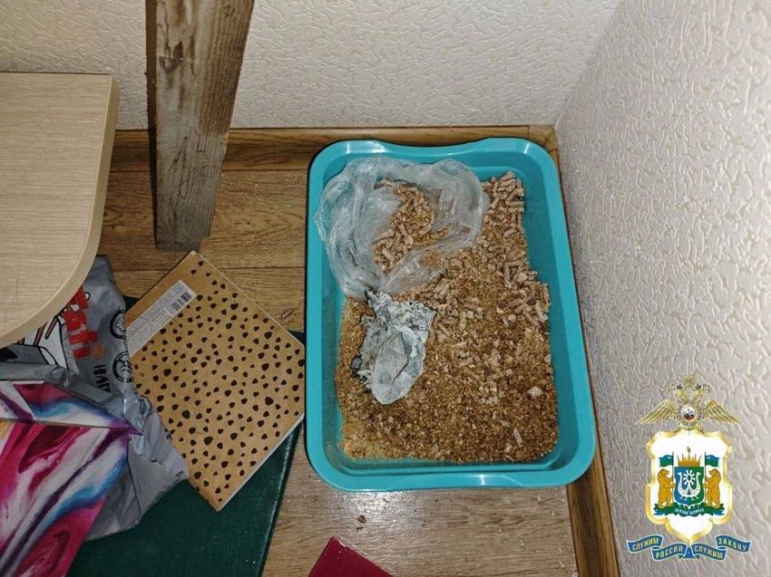 В ХМАО полицейский пес откопал в кошачьем лотке дома у дилера наркотики. Фото: t.me/police_ugra
