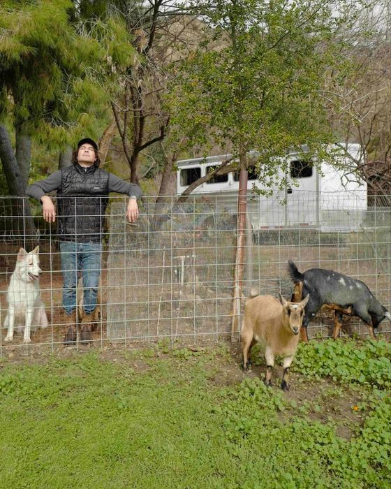 У Сомерхолдера и Рид есть козы, куры и собака. Фото: @t.me/SuperRu