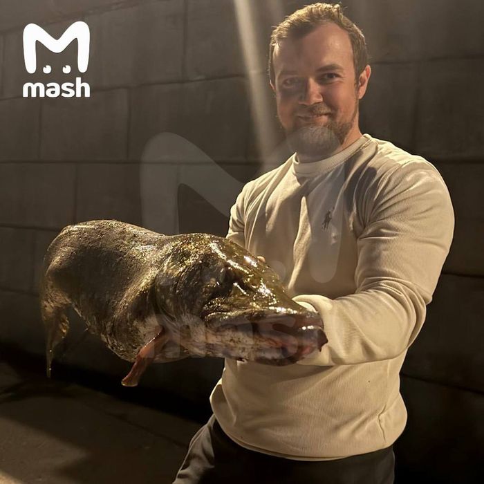 Фото: @breakingmash