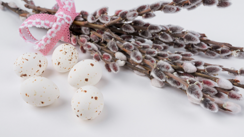 История и традиции Вербного воскресенья. Фото: freepik.com