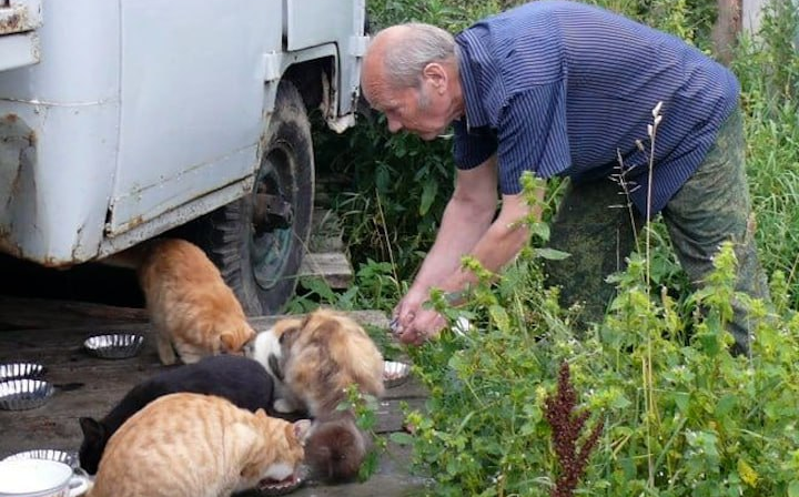 Мужчина спасал жизни кошкам, заботился о них. Фото: t.me/@mashmoyka
