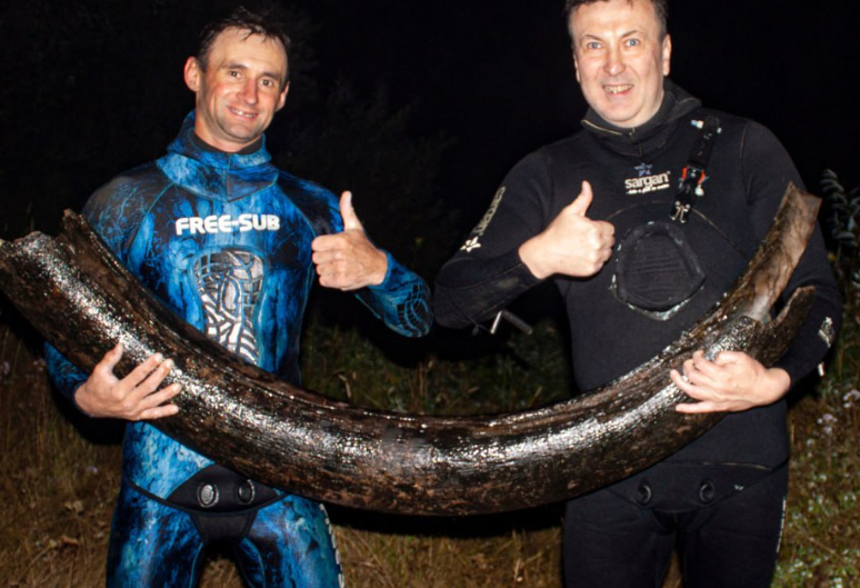 В Приволжье подводные охотники нашли на дне реки двухметровый бивень мамонта. Фото: t.me/fishes_43