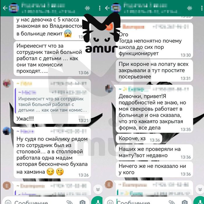 Родители в чате были шокированы новостью о вспышке туберкулеза в школе. Фото: @t.me/amur_mash