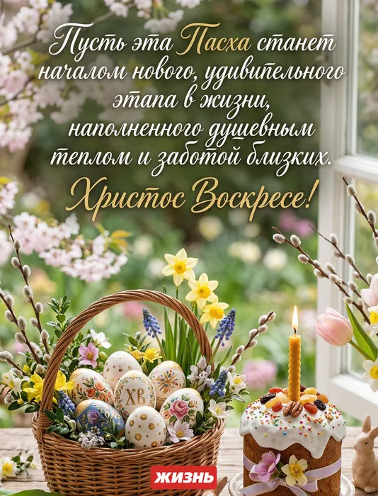 Коллаж: Сорокина Екатерина, фото сгенерировано нейросетью Nano Banana