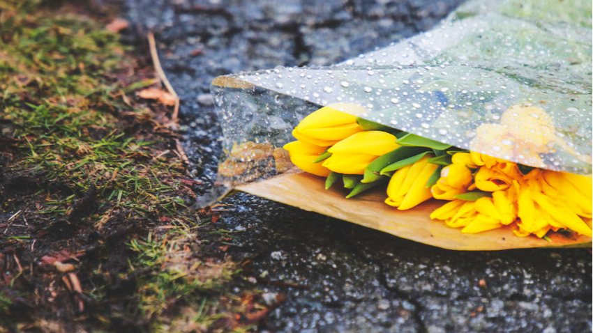 Погода на 8 марта 2026 года в России. Фото: freepik.com
