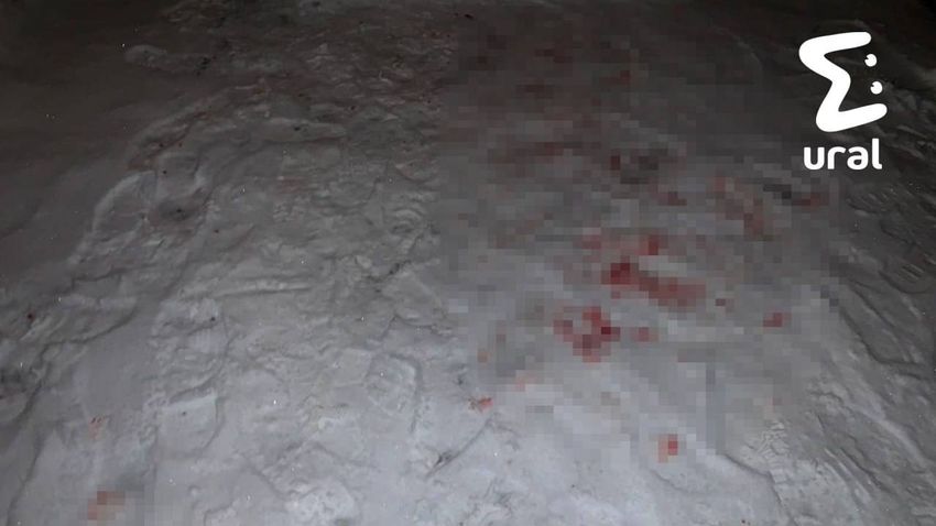 Мать, которая пыталась убить своих детей на Урале, нашли мертвой под окнами. Фото: @t.me/url_mash