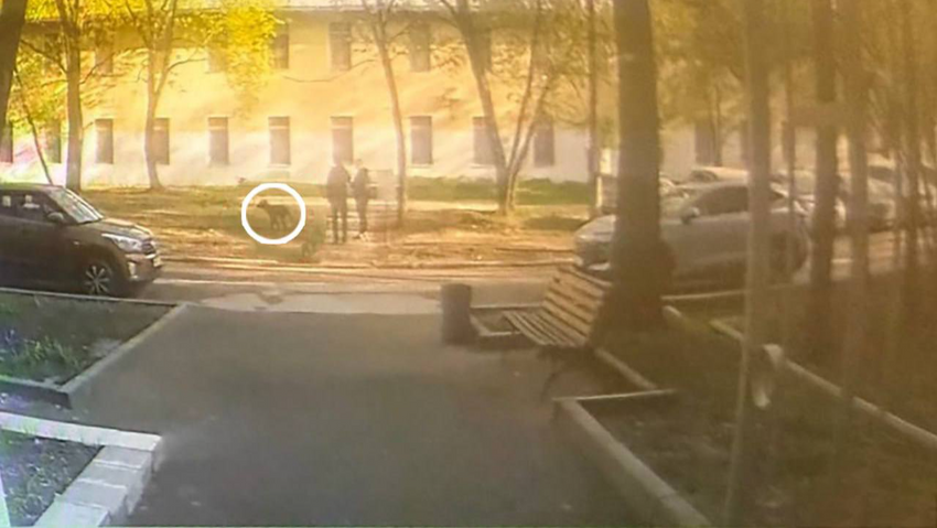 Фото: @breakingmash