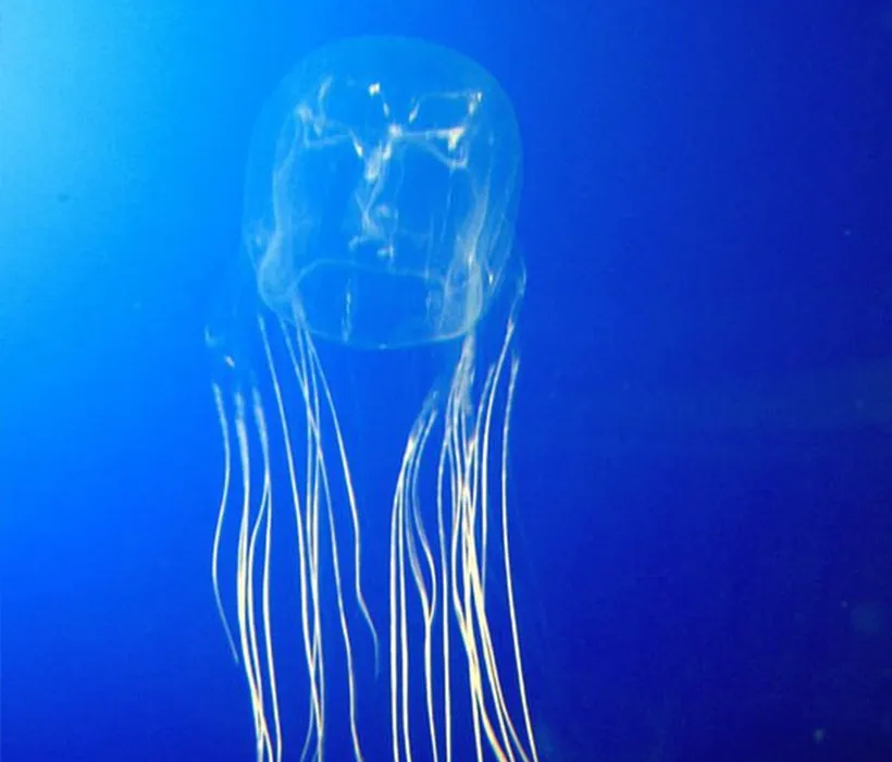 Фото: соцсети