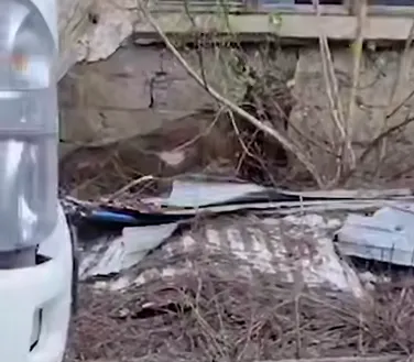 В Уфе лось забрался на склад стройкомпании и свалился с высоты 3 метров, сбегая. Фото: t.me/mash_batash