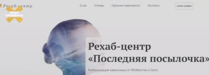 За 4 часа парень накатал сайт, на котором расписал всё о своём рехабе, и назвал его "Последняя посылочка". Фото: t.me/shot_proverka