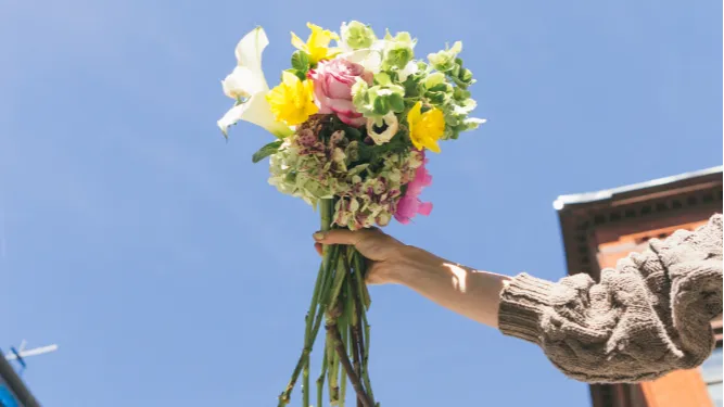 Как отмечают 8 Марта в России. Фото: freepik.com