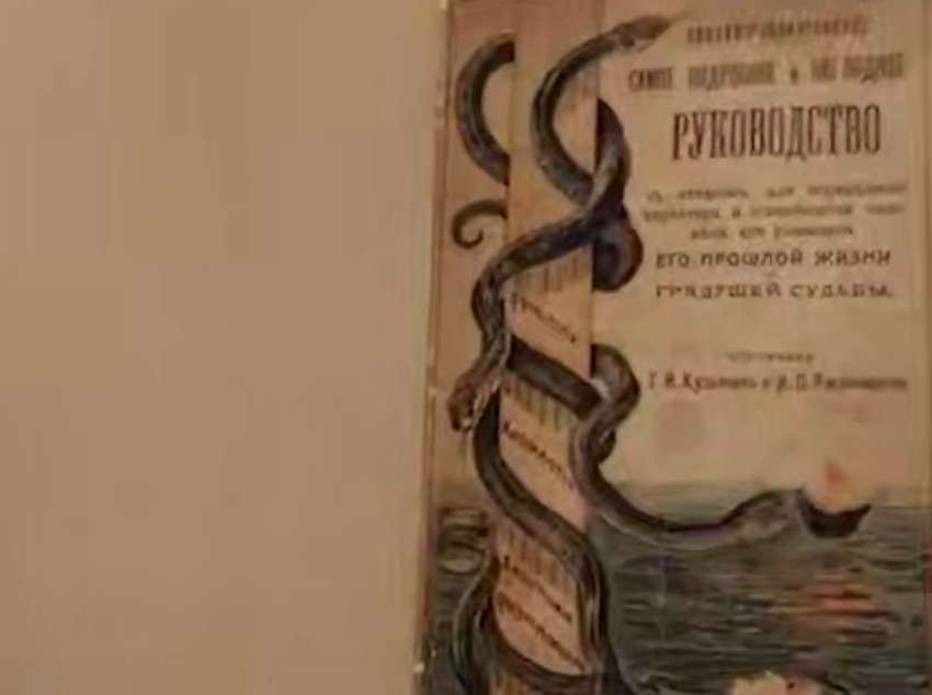 Под Новосибирском женщина продает древнюю «магическую» книгу. Фото: t.me/mash_siberia