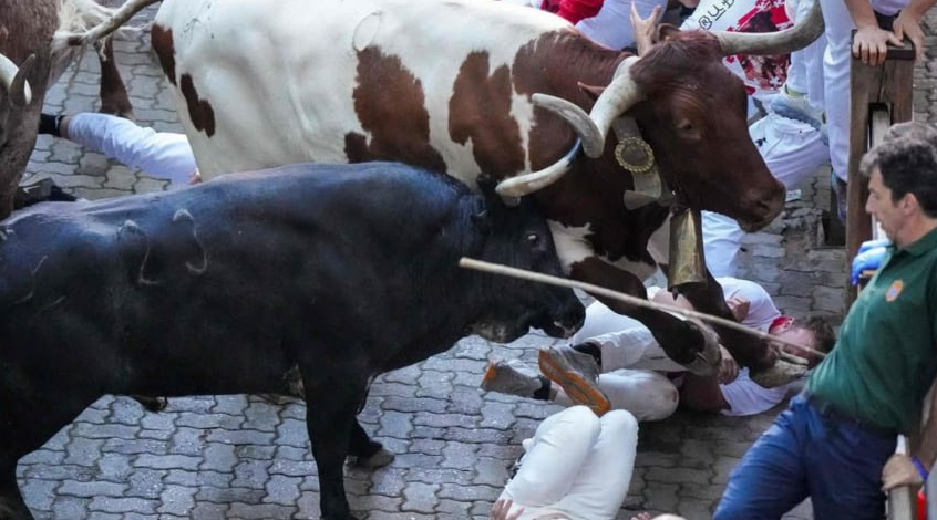 В Испании во время забега с быками разъяренные животные набросились на людей. Фото: t.me/shot_shot