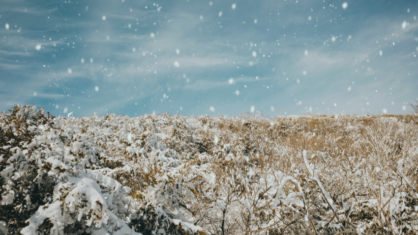 Именно в ноябре предки предсказывали, какой будет зима и урожай в следующем году. Фото: freepik.com
