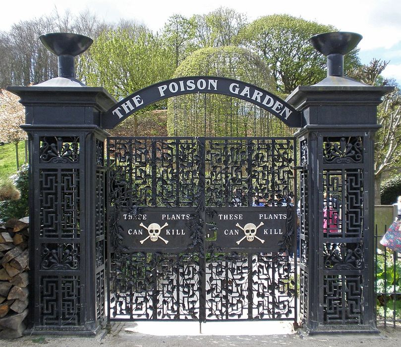 Фото: alnwickgarden.com