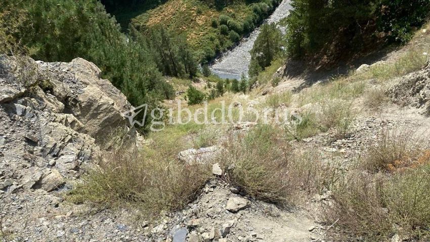 В Дагестане мужчина погиб, слетев с 300-метрового обрыва на машине. Фото: t.me/mash_gor