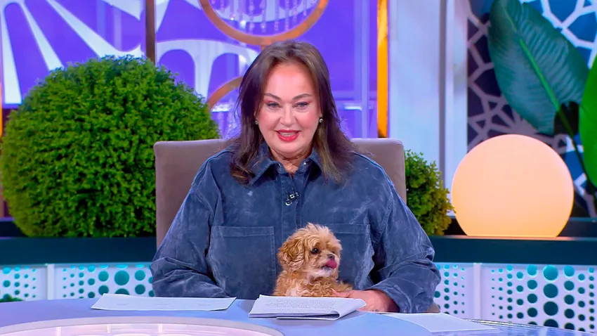 Гузееву с Собчак могут заставить выплачивать долг обманутым на дома людям. Фото: соцсети