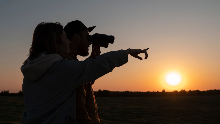 Где смотреть парад планет в России. Фото: freepik.com
