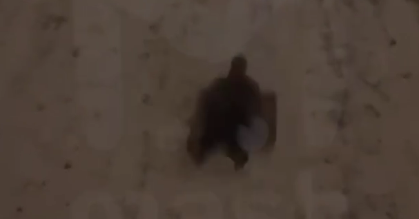 Фото: @t.me/mash