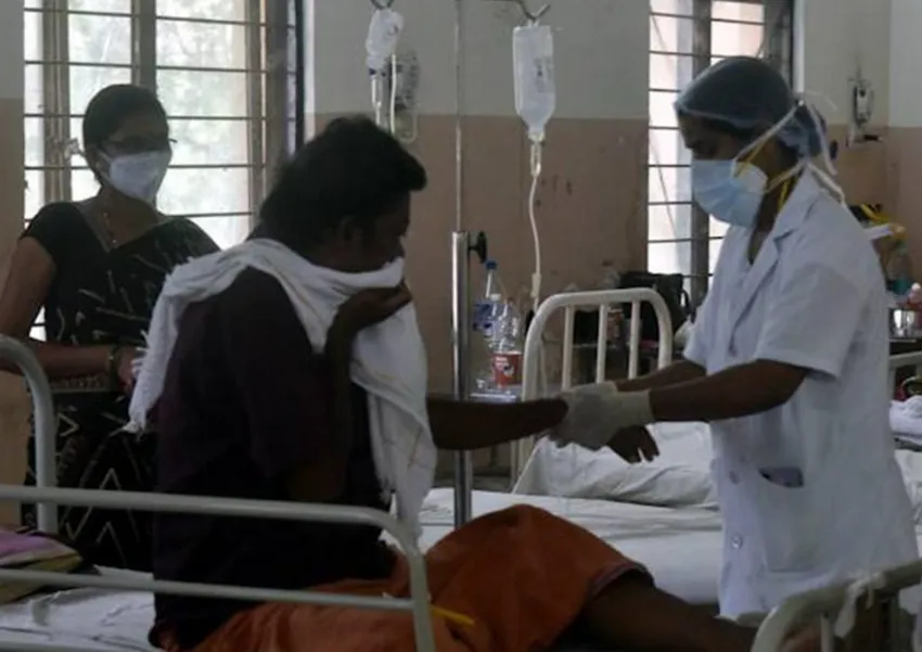 Вирус в основном передается от летучих грызунов и свиней. ФОТО: соцсети