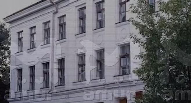 В Приморье 9-классницы затащили второклассницу в туалет и засунули в рот ершик. Фото: t.me/amur_mash