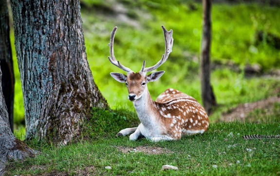 Фото: yahoo.com
