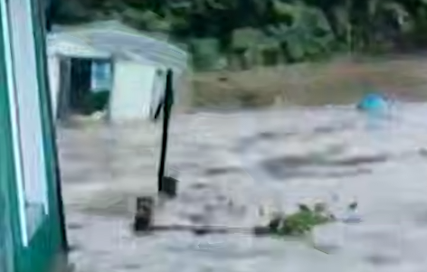 На Сахалине из-за ливней сотни людей лишились жилья: их дома затопило паводком. Фото: t.me/shot_shot