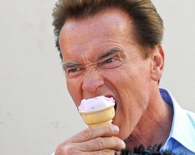 Фото: Инстаграм (запрещён в РФ)/ @schwarzenegger