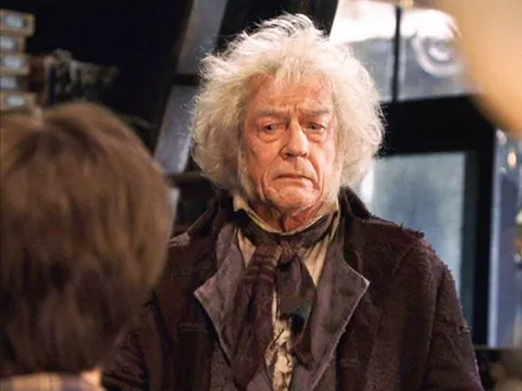 Сэр Джон Хёрт сыграл Олливандера в фильмах о Гарри Поттере. Фото: metro.co.uk